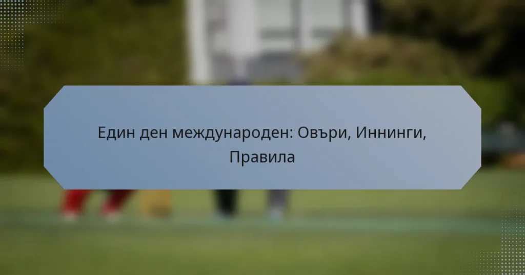 Един ден международен: Овъри, Иннинги, Правила