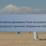 ODI екипна динамика: Роли на играчите, Треньорски стратегии, Морала на отбора