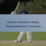 T20 мач: Иннинги, Овъри, Продължителност на мача