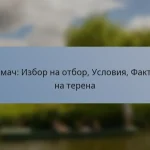 T20 мач: Избор на отбор, Условия, Фактори на терена