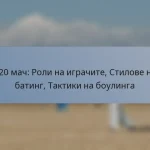 T20 мач: Роли на играчите, Стилове на батинг, Тактики на боулингa