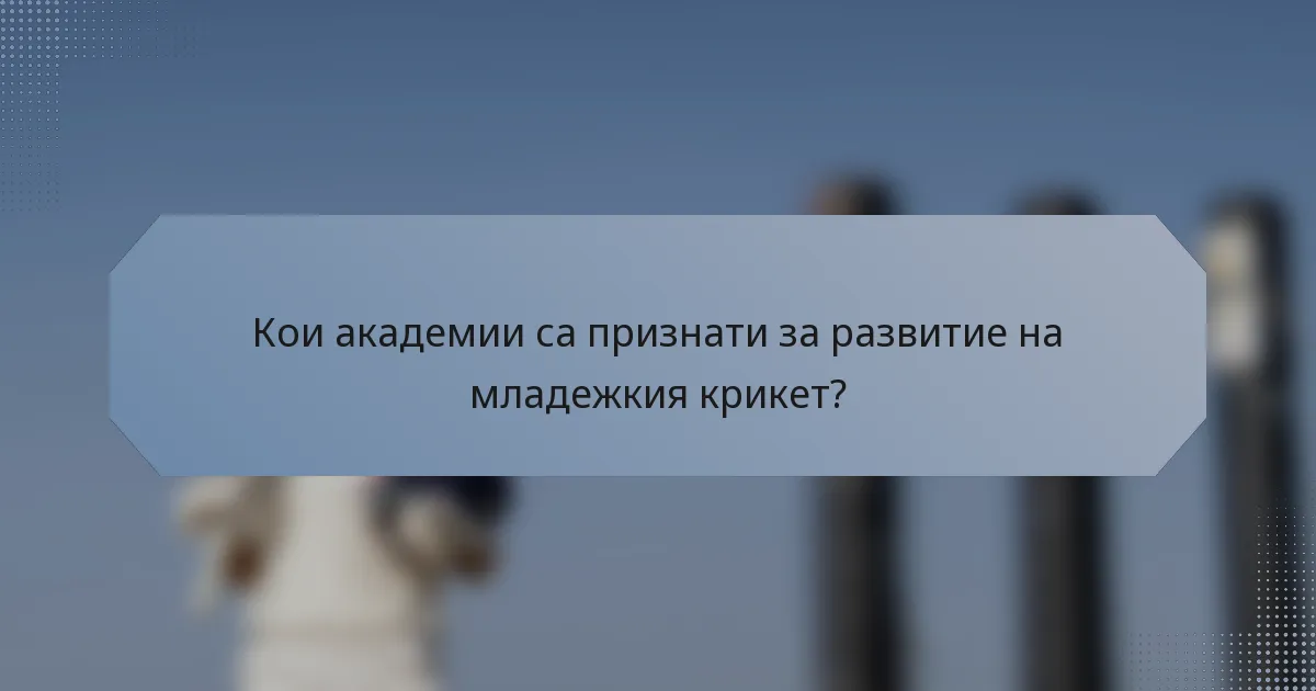 Кои академии са признати за развитие на младежкия крикет?